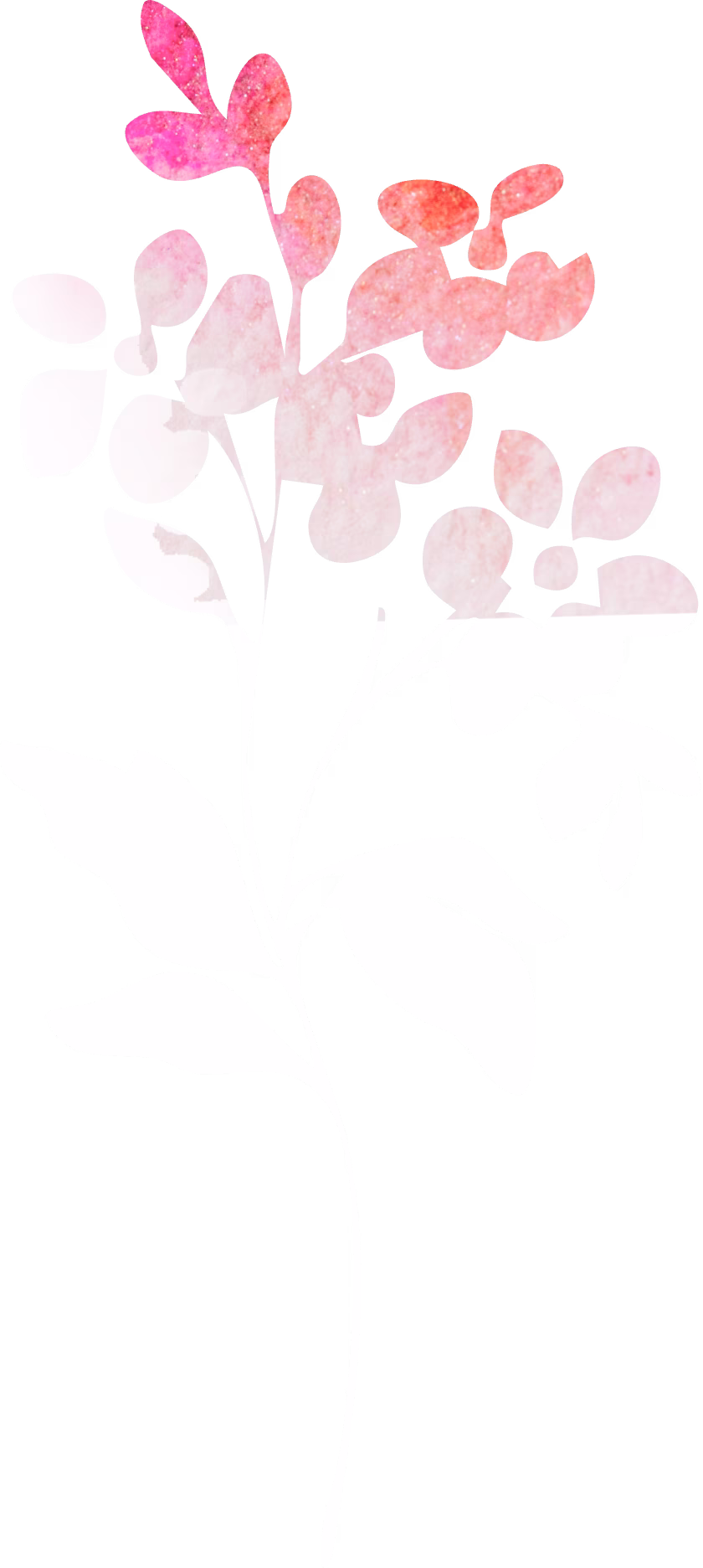 Red Bud