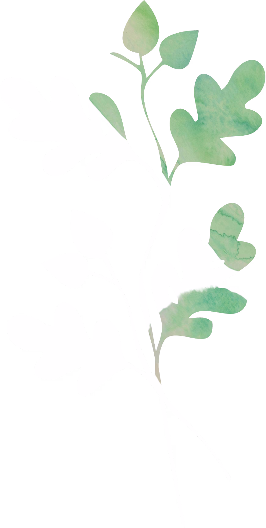 Valley Oak