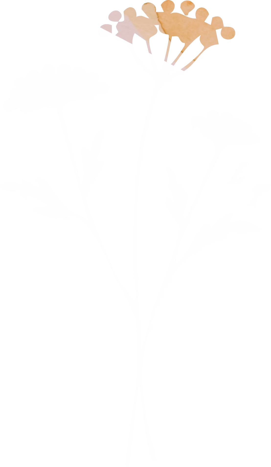 Yarrow